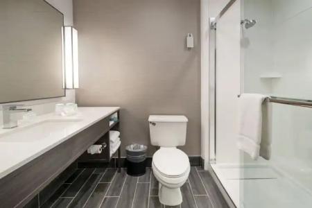 Hilton Garden Inn Las Colinas - 71