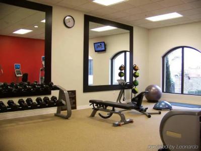 Hilton Garden Inn Las Colinas - 22