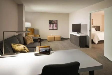 Hilton Garden Inn Las Colinas - 61