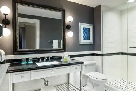 Le Méridien Dallas, the Stoneleigh - 37