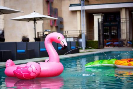 Le Méridien Dallas, the Stoneleigh - 16