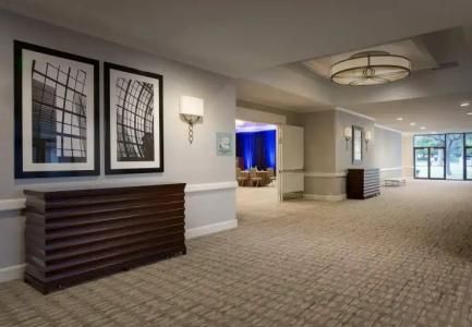 Dallas/Addison Marriott Quorum by the Galleria - 11