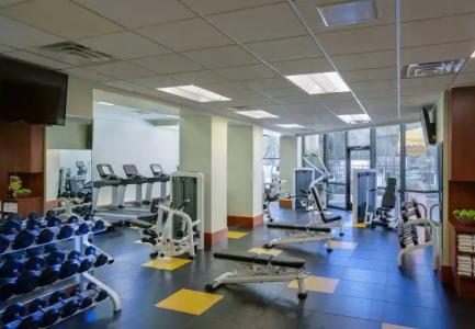 Dallas/Addison Marriott Quorum by the Galleria - 19