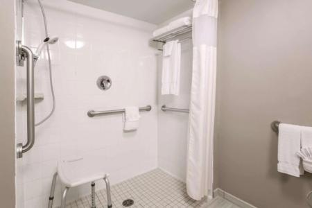 Hilton Garden Inn Dallas/Market Center - 8