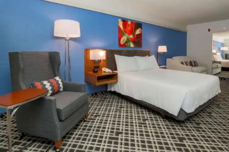 Hilton Garden Inn Dallas/Market Center - 64