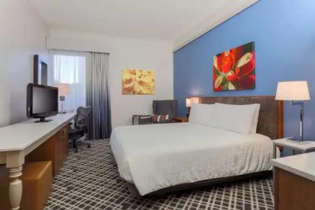 Hilton Garden Inn Dallas/Market Center - 77