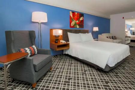 Hilton Garden Inn Dallas/Market Center - 4