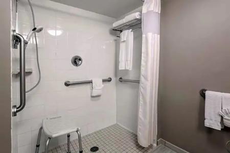 Hilton Garden Inn Dallas/Market Center - 76