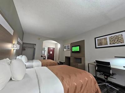 Hilton Garden Inn DFW Airport South - 39