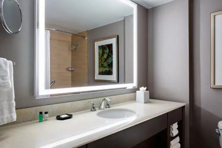 Sheraton Dallas - 67