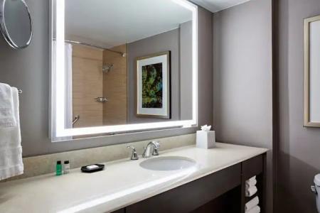 Sheraton Dallas - 54