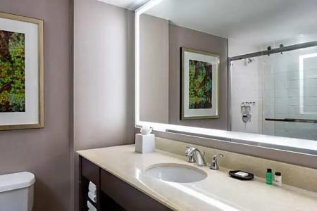 Sheraton Dallas - 82