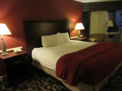 Wyndham DFW Airport - 11