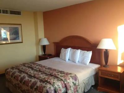 Wyndham DFW Airport - 9