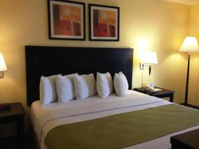 SureStay by Best Western Irving Grapevine DFW North - 20