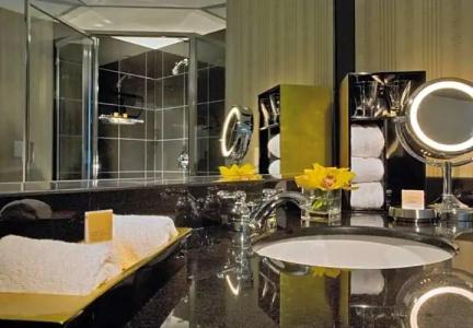 Grand Hyatt DFW - 26