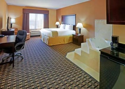 Comfort Inn & Suites Dallas Medical-Market Center - 6