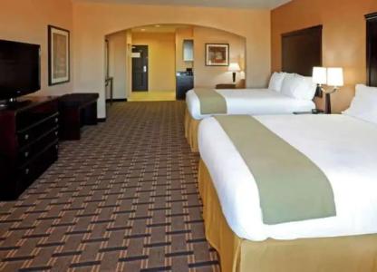 Comfort Inn & Suites Dallas Medical-Market Center - 27
