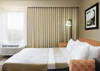 Hampton Inn Dallas/Irving-Las Colinas - 55