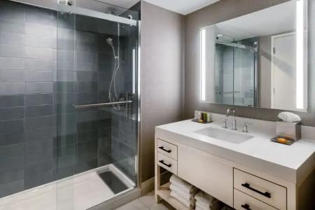 Hilton Dallas Lincoln Centre by the Galleria - 110