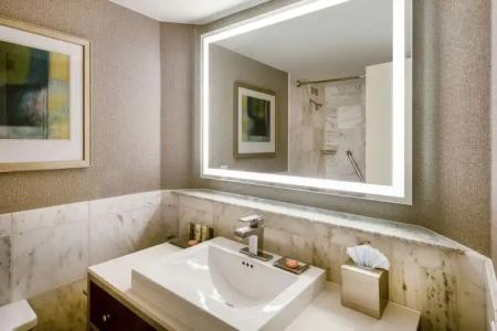 Hilton Dallas Lincoln Centre by the Galleria - 69