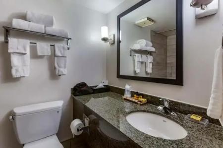 Best Western Plus Scottsdale Thunderbird Suites - 38