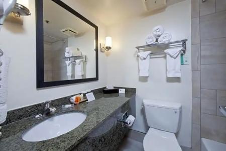 Best Western Plus Scottsdale Thunderbird Suites - 80