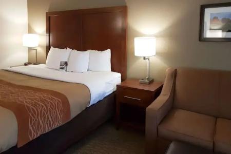 Comfort Inn I-10 West at 51st Ave - 6