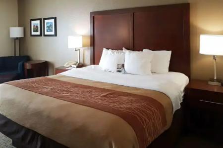 Comfort Inn I-10 West at 51st Ave - 3