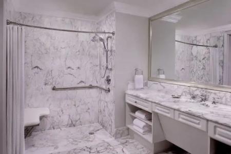 The Ritz-Carlton Coconut Grove, Miami - 69