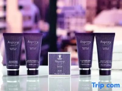 The Ritz-Carlton Coconut Grove, Miami - 99