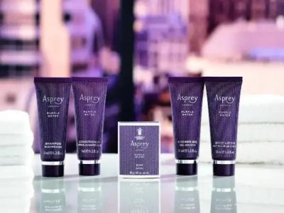 The Ritz-Carlton Coconut Grove, Miami - 89