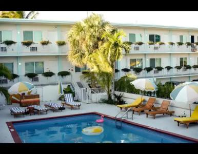 Selina Gold Dust - 13