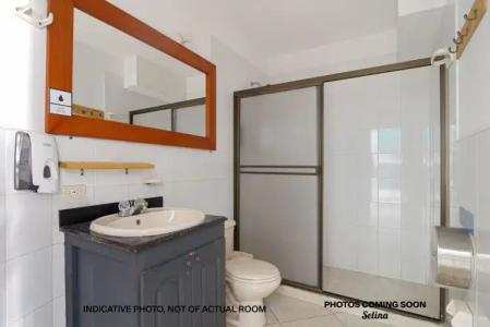 Selina Gold Dust - 7