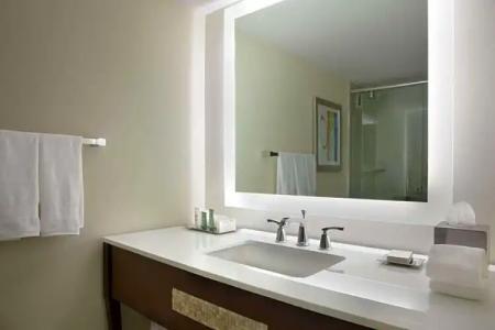 Hilton Miami Airport Blue Lagoon - 51