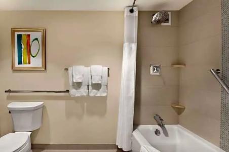 Hilton Miami Airport Blue Lagoon - 52