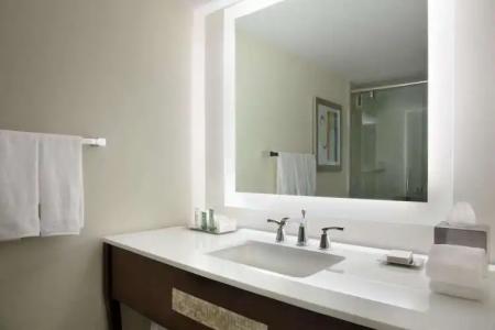 Hilton Miami Airport Blue Lagoon - 9