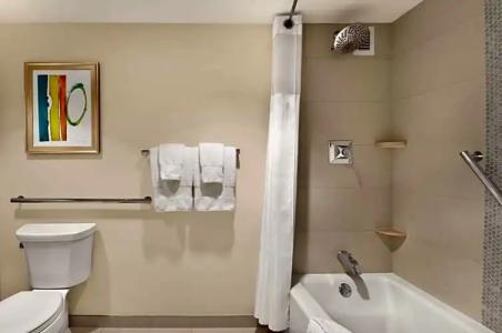 Hilton Miami Airport Blue Lagoon - 70