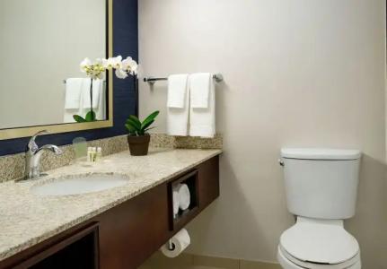 Nashville Airport Marriott - 12