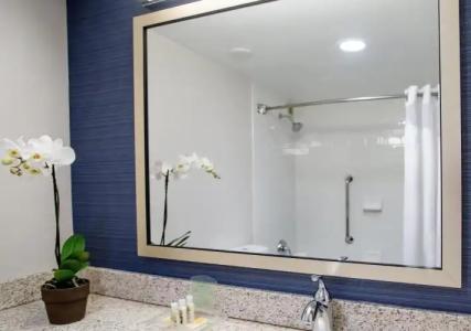 Nashville Airport Marriott - 11