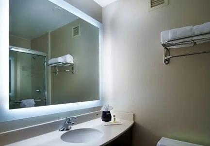 Holiday Inn NASHVILLE-VANDERBILT - 60