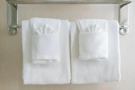 Holiday Inn NASHVILLE-VANDERBILT - 53