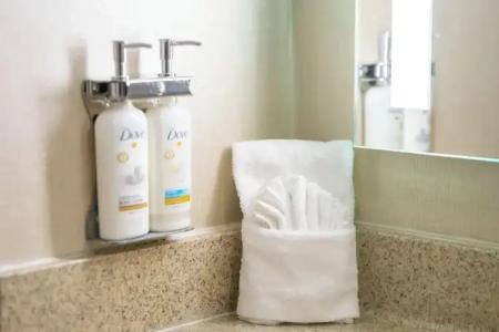 Holiday Inn NASHVILLE-VANDERBILT - 54