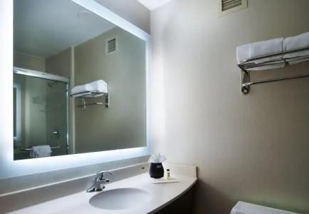 Holiday Inn NASHVILLE-VANDERBILT - 13