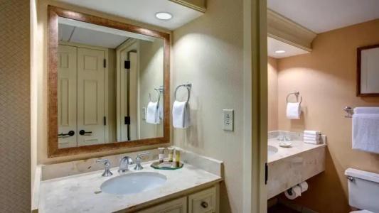 Gaylord Opryland Resort & Convention Center - 29