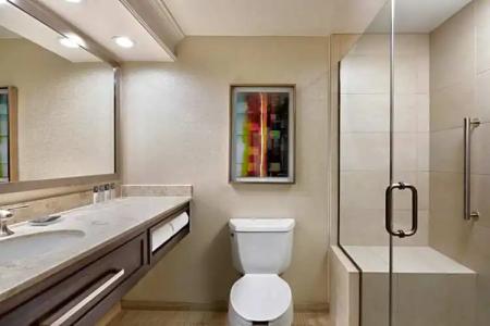 Gaylord Opryland Resort & Convention Center - 30