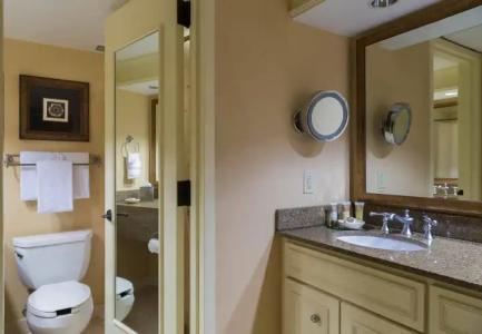 Gaylord Opryland Resort & Convention Center - 9