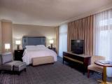 Presidential Double Suite with city view