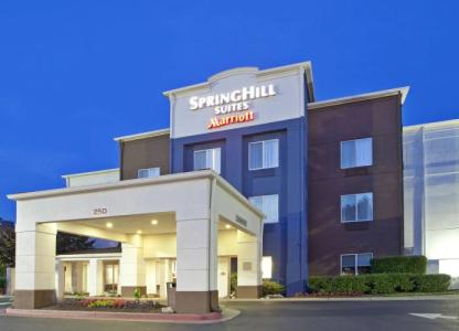 SpringHill Suites Nashville MetroCenter - 32