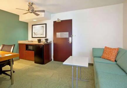SpringHill Suites Nashville MetroCenter - 1
